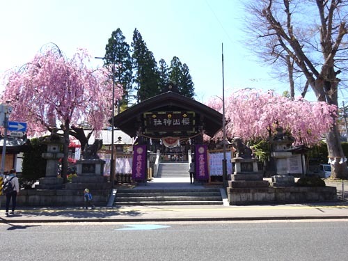 １３桜山神社
