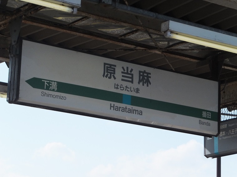 harataima (1)