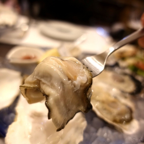 料理 牡蠣と肉たらし ビストロAKIRA (38)