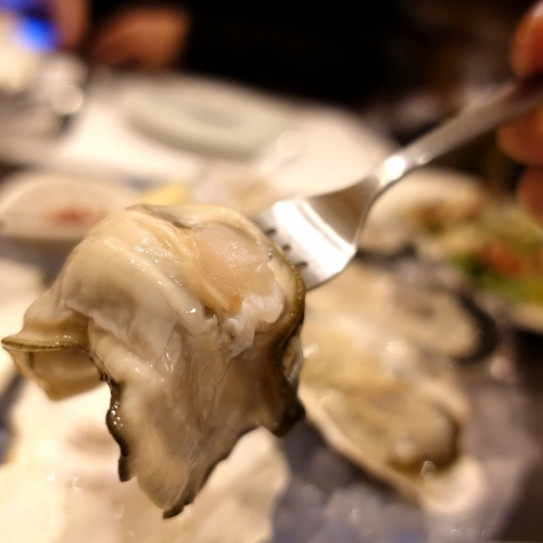 料理 牡蠣と肉たらし ビストロAKIRA (39)