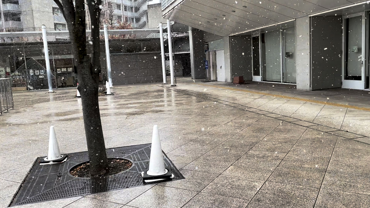 東京で本降りの雪が＠2022年1月6日 by天空オフィシャルブログ所蔵画像