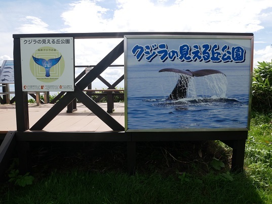 クジラの公園
