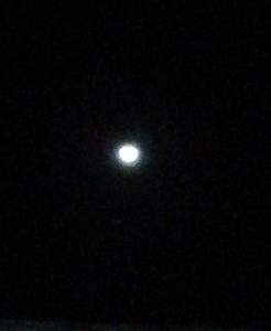 moon47.jpg