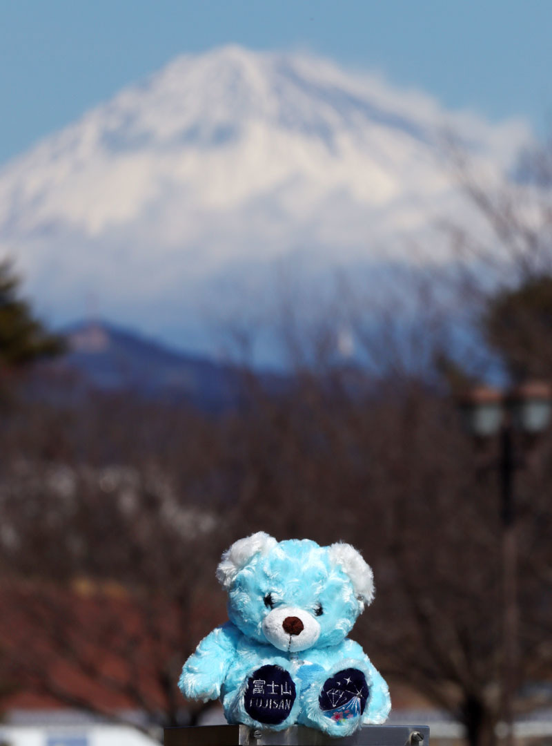 富士山ベアと富士山 駿府城公園 220223
