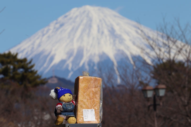 すでに富士山超えてます「最高峰」と 駿府城公園 220218
