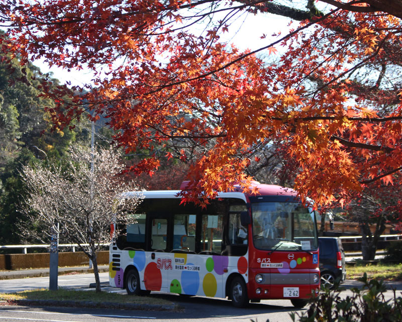 バスと紅葉 湯谷温泉 211203