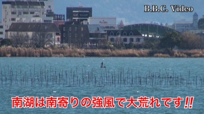 琵琶湖南湖は南寄りの強風で大荒れです!! #今日の琵琶湖（YouTubeムービー 21/12/14）