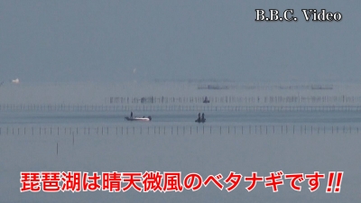 成人の日の3連休2日目!! 琵琶湖は晴天微風のベタナギです #今日の琵琶湖（YouTubeムービー 22/01/09）