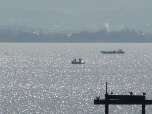 琵琶湖南湖山ノ下湾沖で釣り中のボート。後ろは水草の根こそぎ刈り取り中の漁船（1月25日11時20分頃）