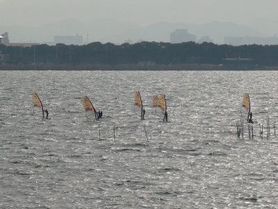 琵琶湖大橋西詰めから眺めた南湖は南寄りの強風で大荒れです（1月29認知10時15分頃）