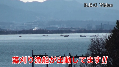 ほぼ快晴になった琵琶湖!! 南湖に自称藻刈り漁船が出動してます #今日の琵琶湖（YouTubeムービー 22/02/09）