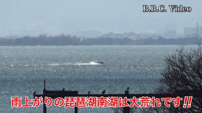 雨上がりの日曜日!! 琵琶湖南湖は西寄りの強風で大荒れです #今日の琵琶湖（YouTubeムービー 22/02/20）