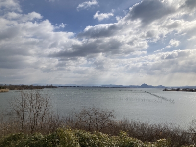 山ノ下湾から眺めた琵琶湖南湖は南西の強風で今日も荒れてます。ボートは1隻も見えず（2月16日10時頃）