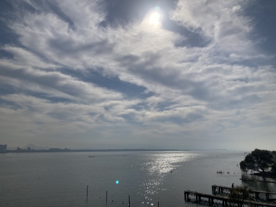琵琶湖大橋西詰めから眺めた南湖は晴天軽風で穏やかないい天気。湖上はボートが少なくてガラ空きです（11月19日10時30分頃）