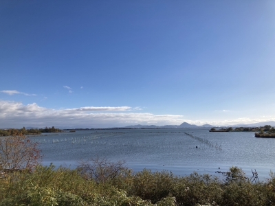 山ノ下湾から眺めた琵琶湖南湖はボートがポツリポツリと浮いてるだけのガラ空きです（12月2日9時45分頃）