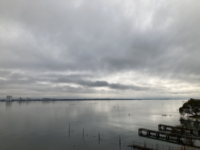 ビワここお箸西詰めから眺めた南湖は曇天微風のベタナギですがボートの姿はまったく見えません（12月6日11時30分頃）