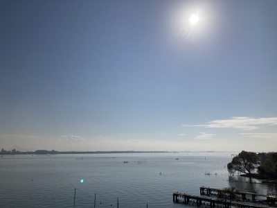 琵琶湖大橋西詰めから眺めた南湖は今日も晴天微風のベタナギです（12月11日11時20分頃）