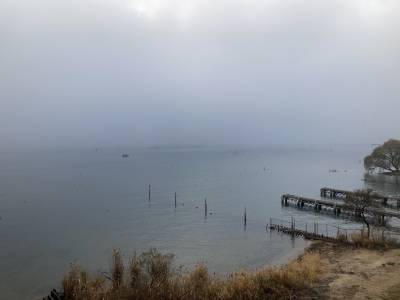 琵琶湖大橋西詰めから眺めた南湖は霧がひどくて遠くの景色がまったく見えません（12月12日9時10分頃）