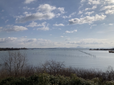 山ノ下湾から眺めた琵琶湖南湖は今日も南寄りの風でざわついてます（2月2日10時30分頃）