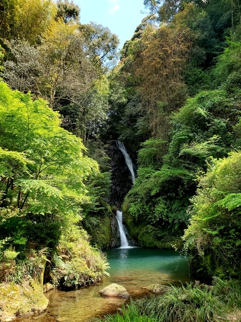 藤本滝2