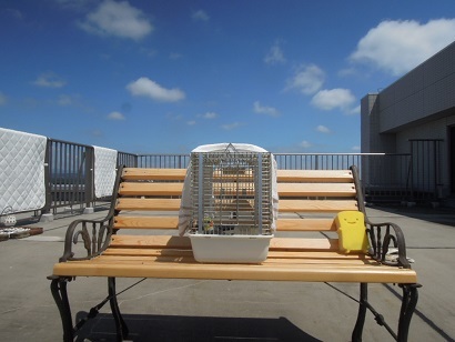 200720 (11)