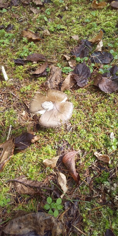 202010021010438e7.jpg