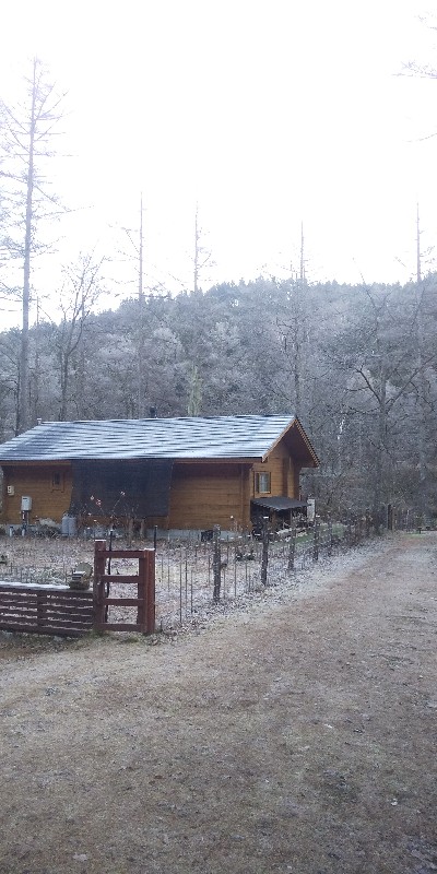 2020112407315283a.jpg