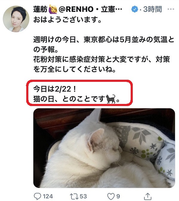 20210223政府広報「2月22日は猫の日」とツイート・竹島の日を完全無視！蓮舫と同じ・日本国民から批判殺到