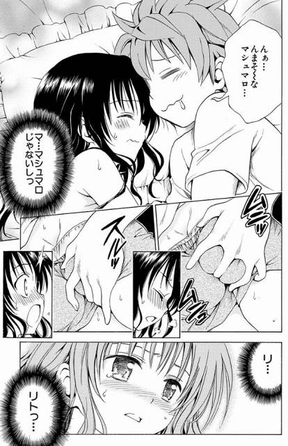 To LOVEる キングクリムゾン 美柑