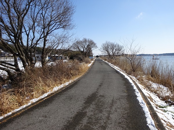 220211雪_お散歩 (5)