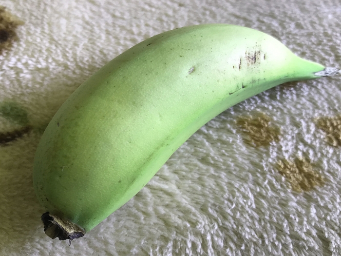 banana21020102.jpg