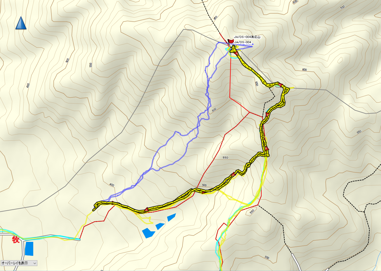 2021鴻応山/