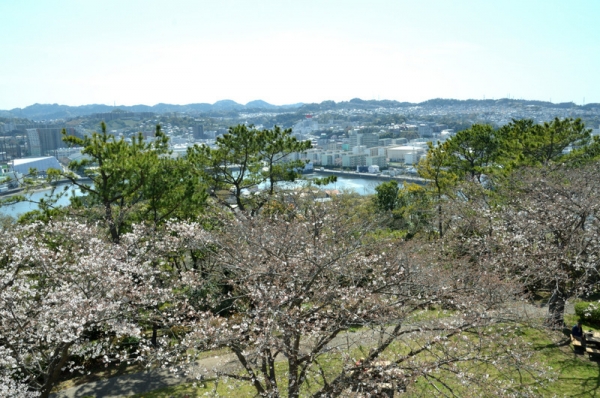 2021-3-24野島山展望台　9
