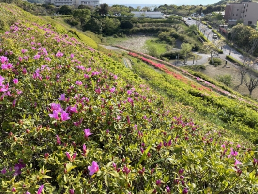 2021-4-9湘南国際村　5