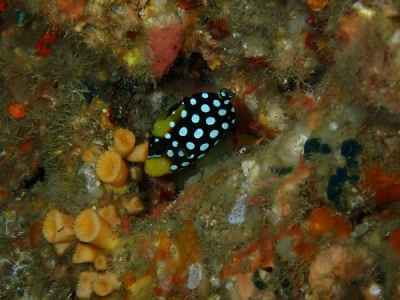 PC255011.jpg
