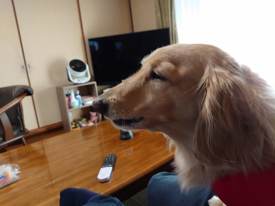 2021_02_28_003ブログ用
