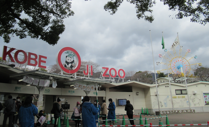 20220130王子動物園