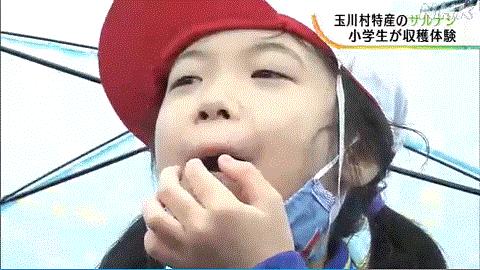 福島産サルナシを食べる勇気ある女の子
