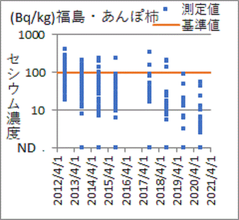 基準値ぎりぎりの検査結果が続く福島・あんぽ柿の精密検査