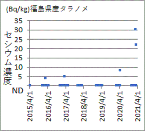 上昇が続く福島産タラノメ（施設）のセシウム
