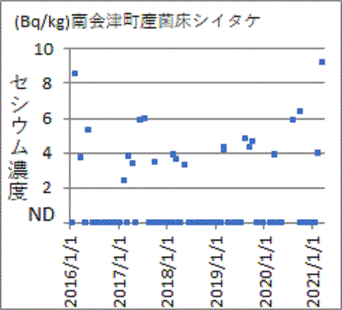 上昇する福島県南会津町産菌床シイタケのセシウム