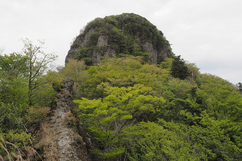 鷹ノ巣山 (21)