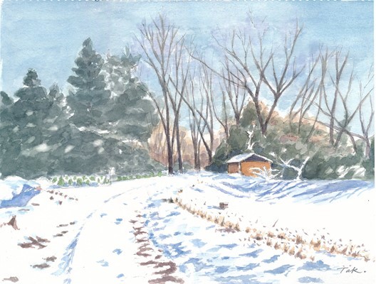 散歩道の雪景色（合成縮小）