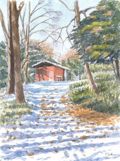 散歩道の雪景色（林の中）（合成縮小）