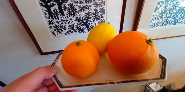 レモンとオレンジ収穫???? - 那須きり絵アートショップ 執行役ちょいブログ