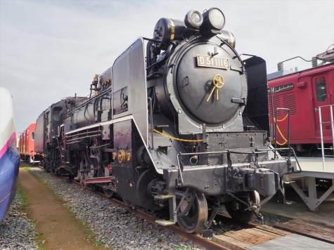 蒸気機関車 D51 1116【ザ・ヒロサワ・シティ】