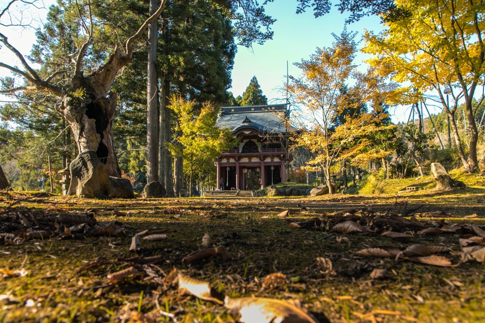 妙法寺参道の秋