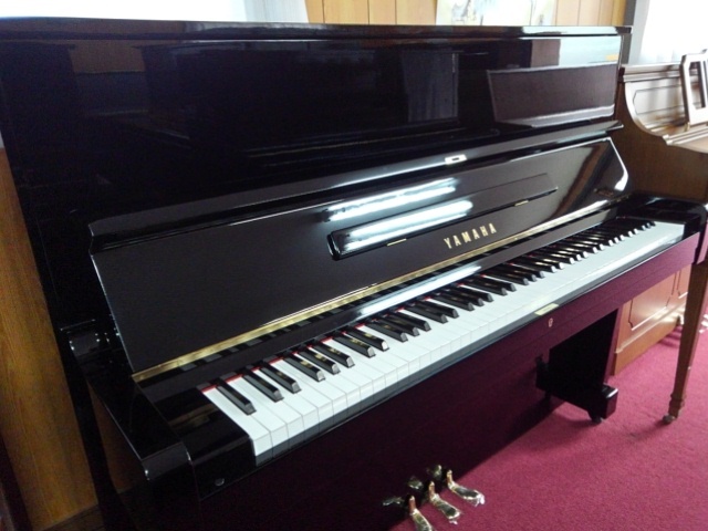 u1e_676063.jpg