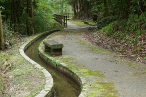 pota201003_45.jpg
