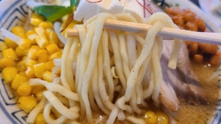 ちゃーしゅうや武蔵笹口　フローラ味噌ラーメン　麺